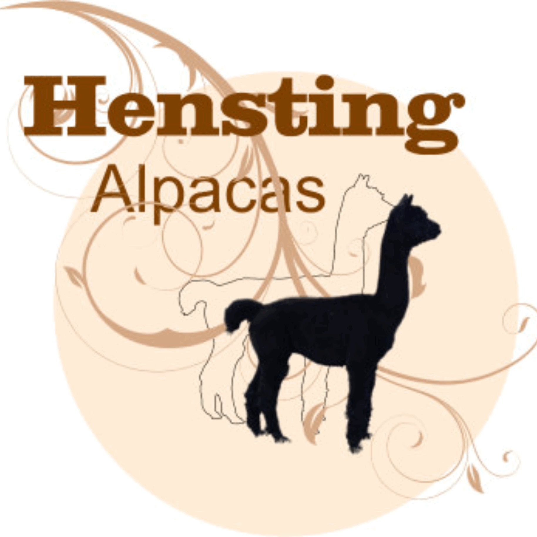 Hensting Alpacas Logo