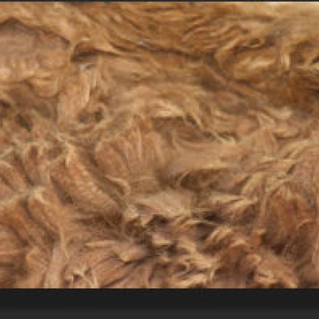 Cria (Baby) Fleece
