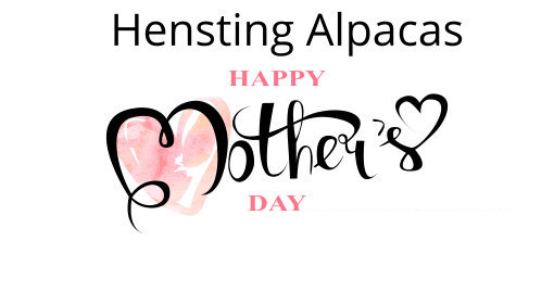 Mothers Day at Hensting Alpacas Voucher